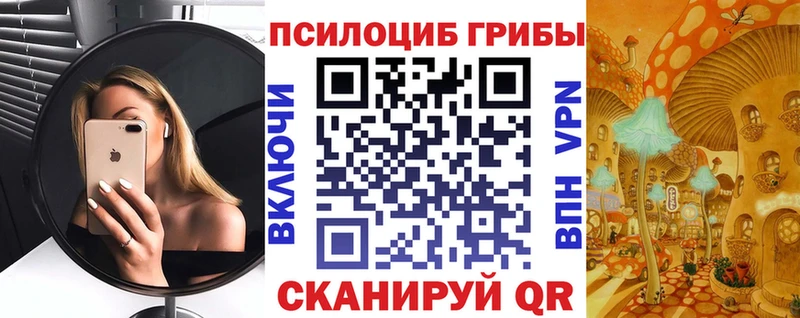 Псилоцибиновые грибы мицелий  Купить  Кондрово 